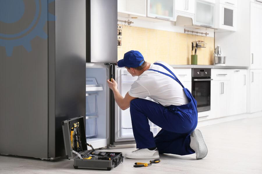 Blomberg Fridge Repair Services