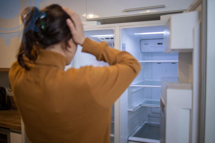 Fridge Noisy Fan Repair