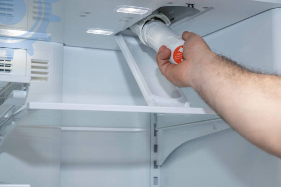 Fridge Water Filter Replacement