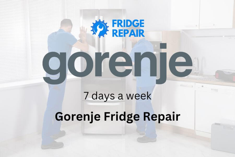Gorenje Fridge Repair