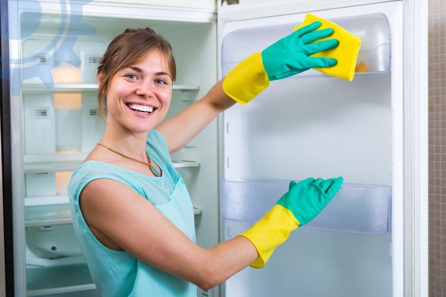 Miele Fridge Repair Services