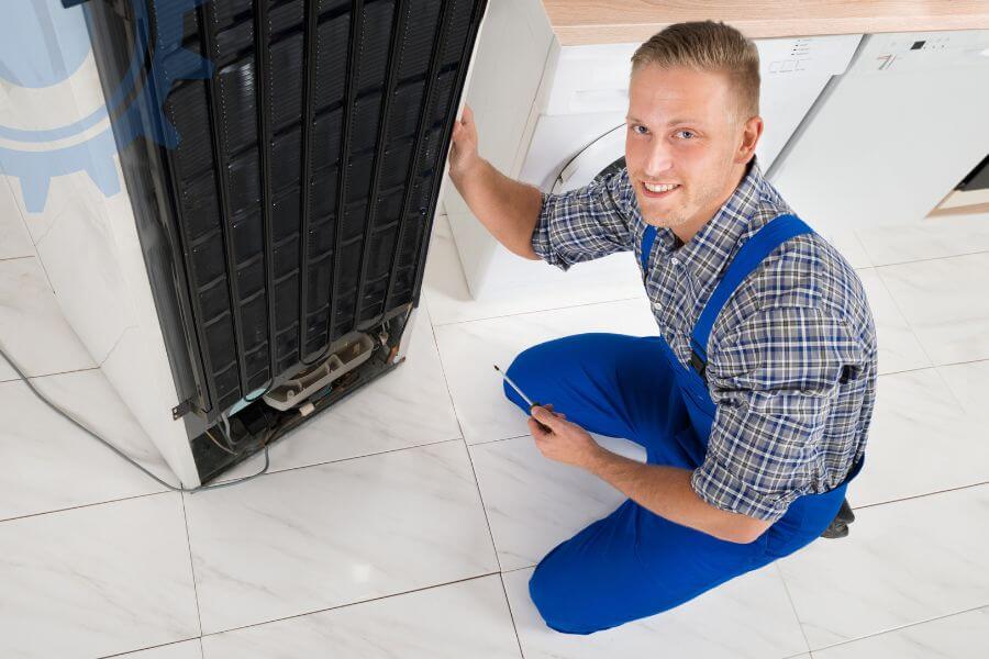 Napoleon Fridge Repair Services