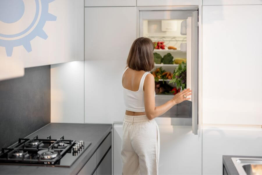 Panasonic Fridge Repair Services