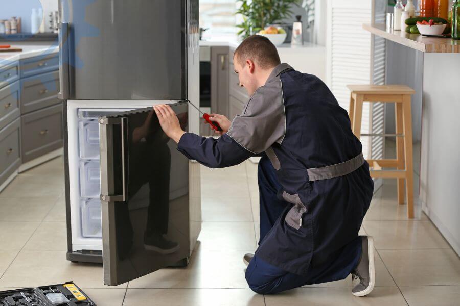 Professional Insignia Fridge Repair
