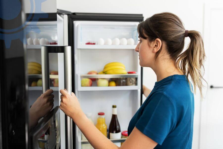 Sub Zero Fridge Repair Services
