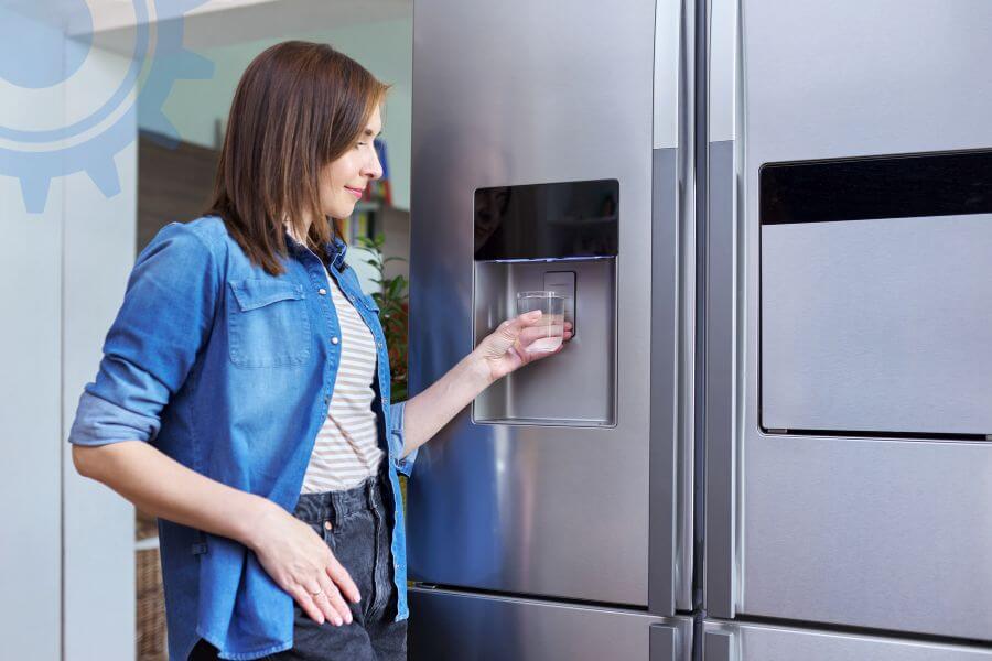 fridge filter replacement